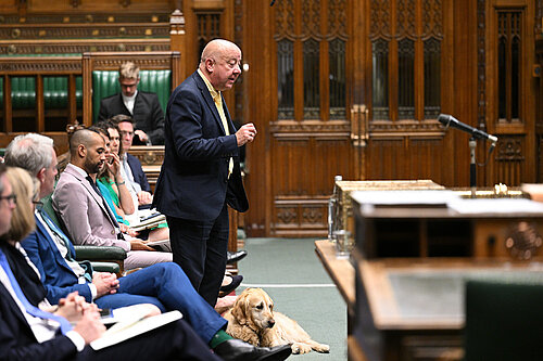 Steve Darling MP speaks in Parliament ©House of Commons