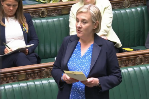 Lisa Smart speaking in Parliament